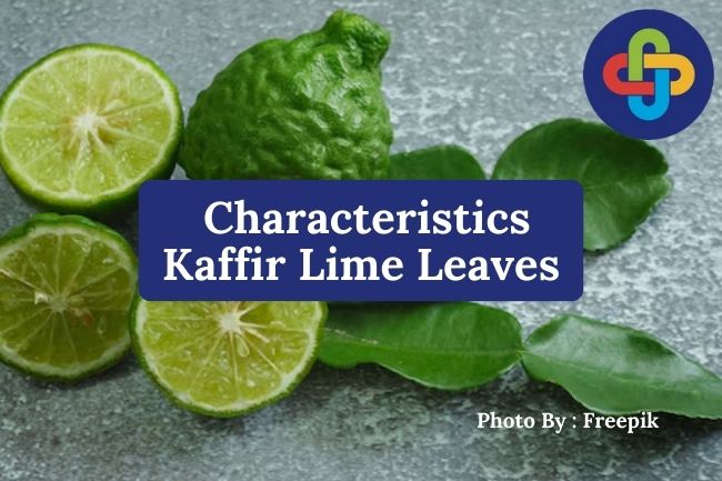 Kaffir Lime Leaves: Characteristics and Origins of Their Use in Cooking